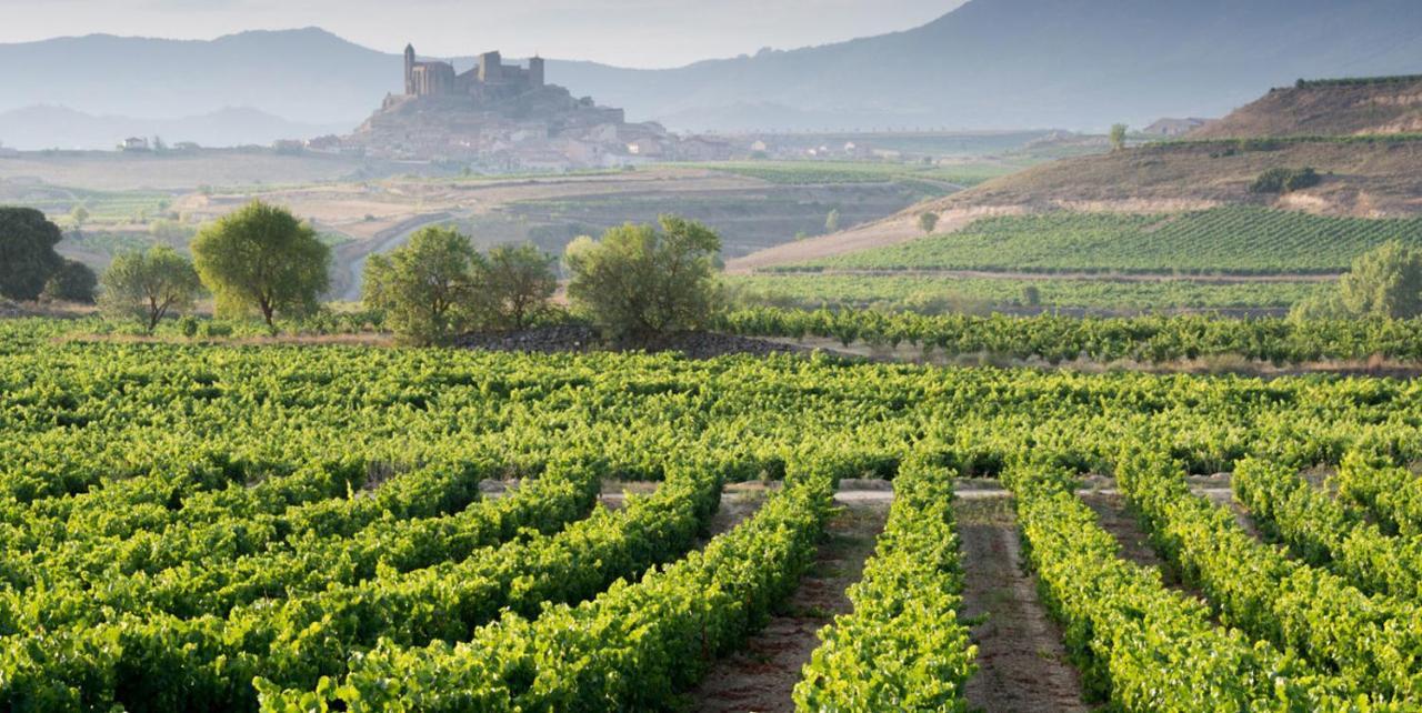 Apartamento Haro Wine Experience Экстерьер фото